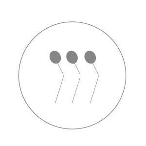 Slicker-Brush-Needle-Shape-Plastic-Ball-Tip.jpg