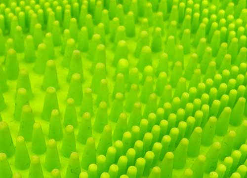 ubber-Brush-Tooth-Classification---Bamboo-Shoot-Tooth.jpg
