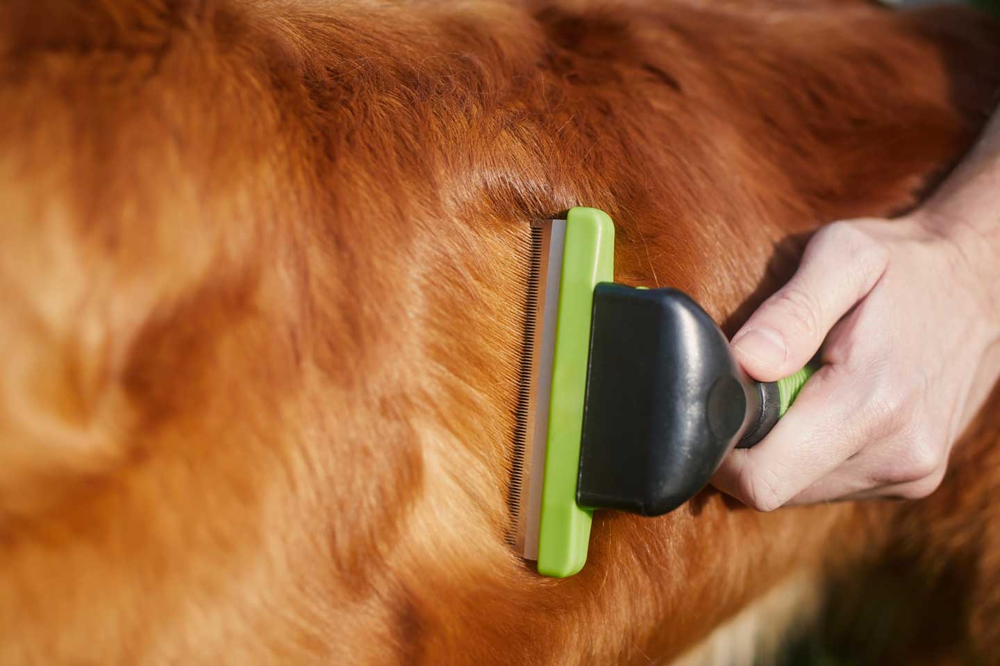 KUDI-PET-Deshedding-Brush-For-Dogs