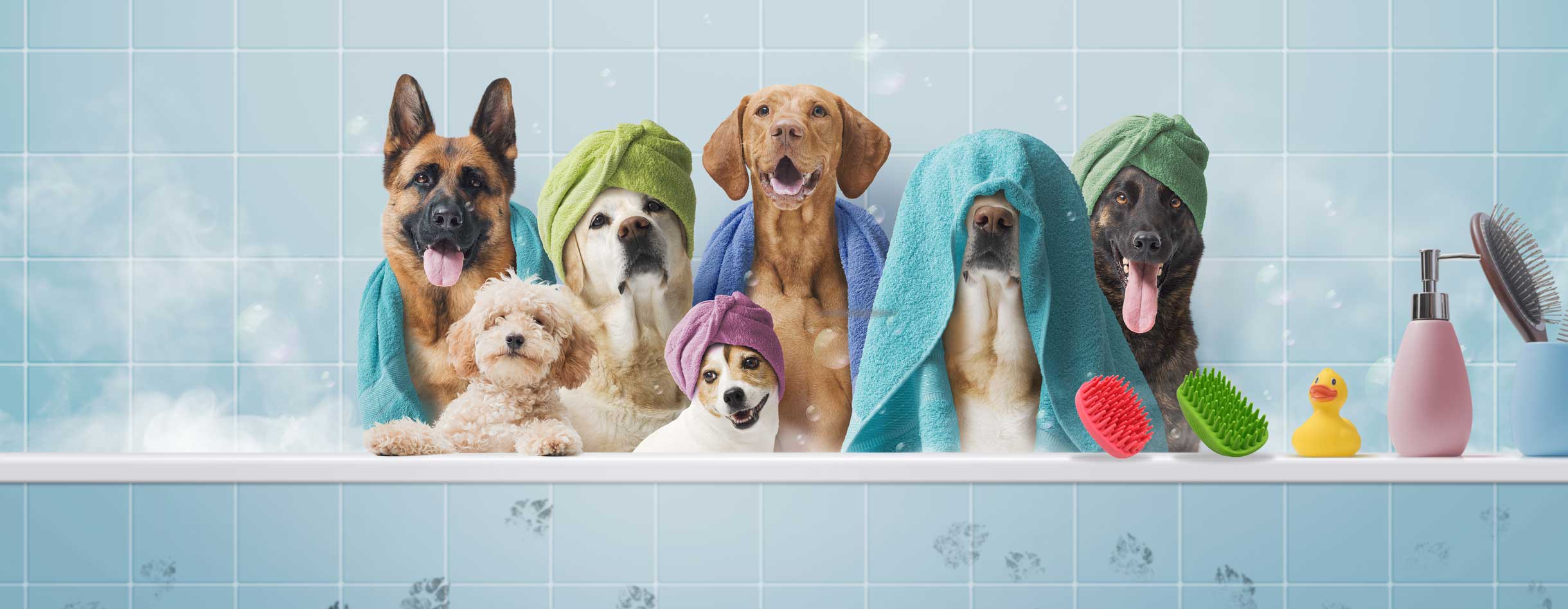 Professional-Dog-Bath-Brushes