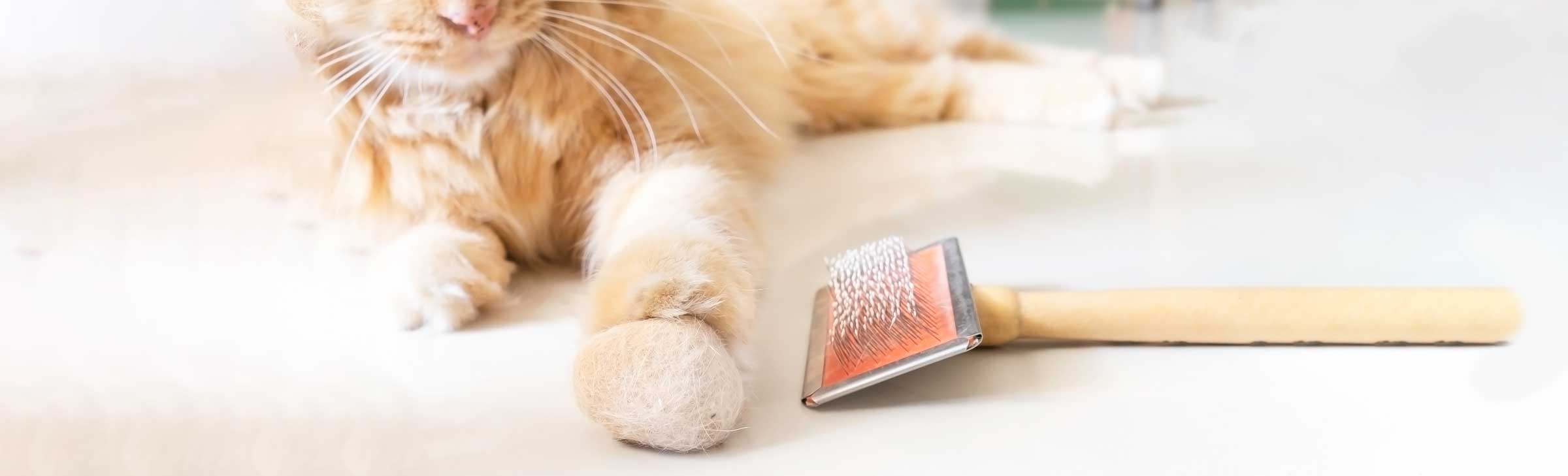 Custom-Wooden-Pet-Brushes