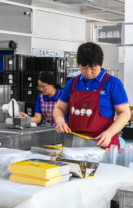 Packaging Assembly Line