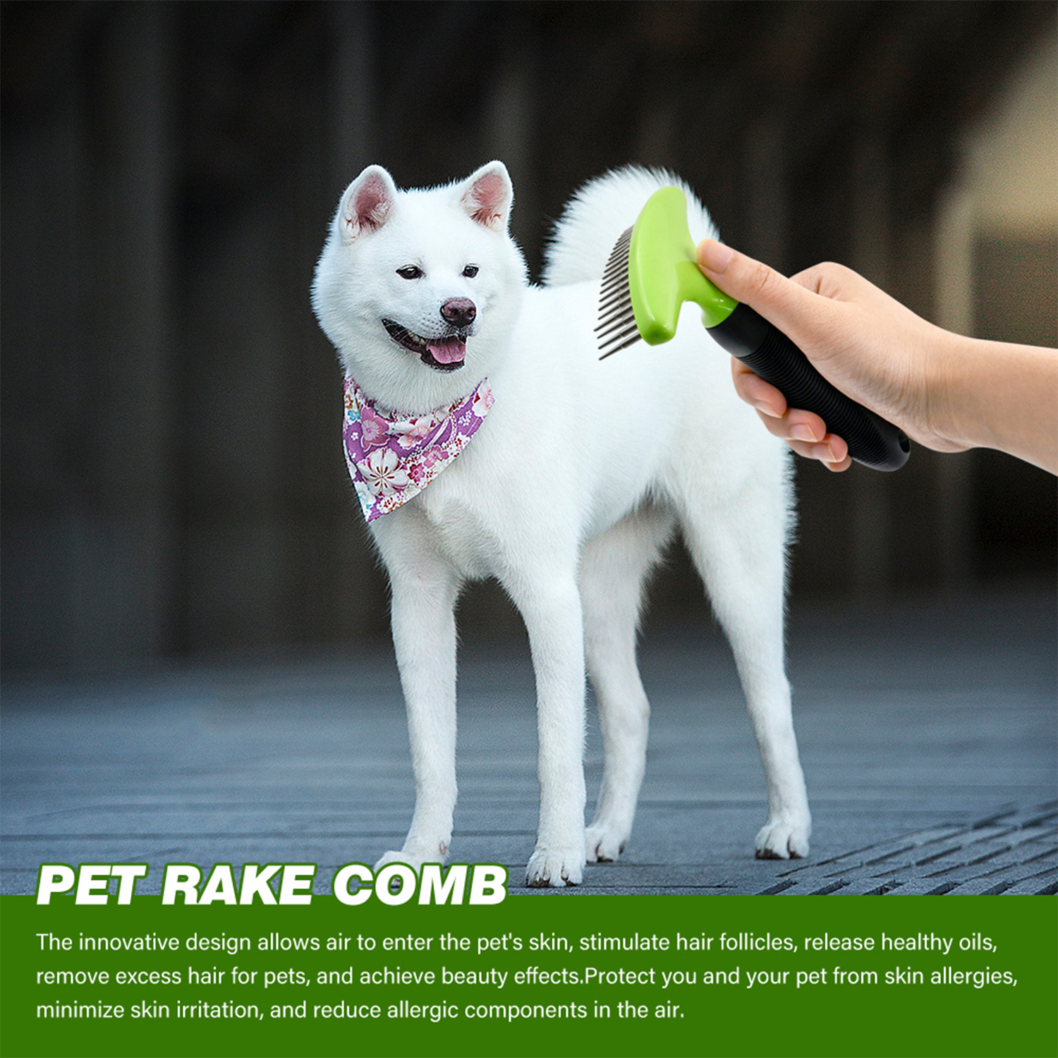 Pet Undercoat Rake Comb-01 Pet Undercoat Rake Comb-01