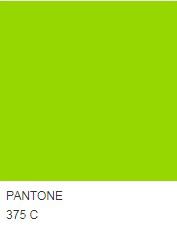 KUDI-Pantone-color-chart,-standard-colors-for-pet-brushes