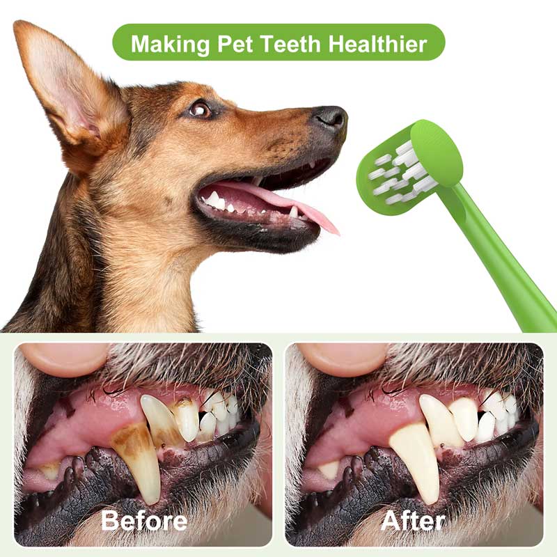 Making-Pet-Teeth-Healthier