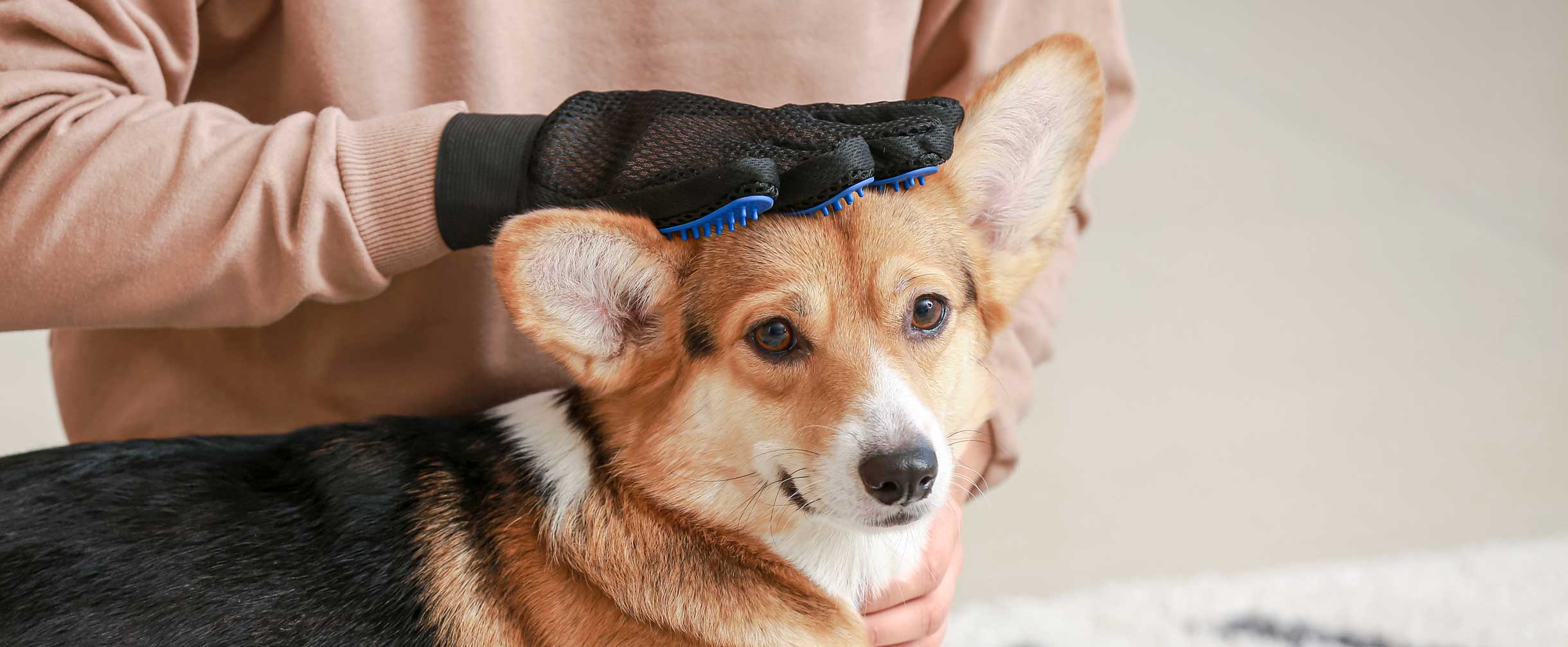 Dog-Grooming-Glove