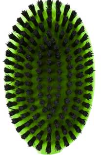 Bristle