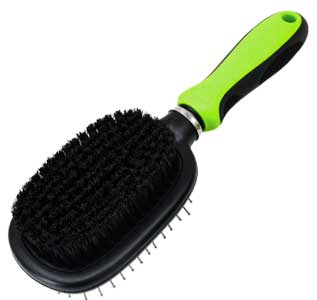 Bristle