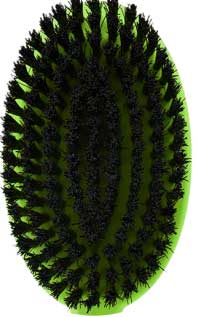 Bristle