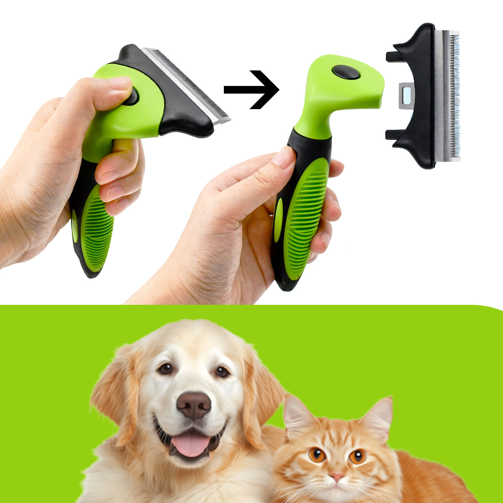 621