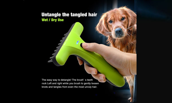 Dog Comb