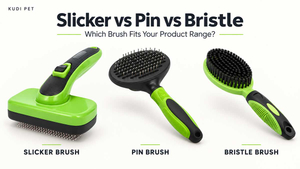 Slicker-vs-Pin-vs-Bristle-Brush-Differences-KUDI-PET.jpg