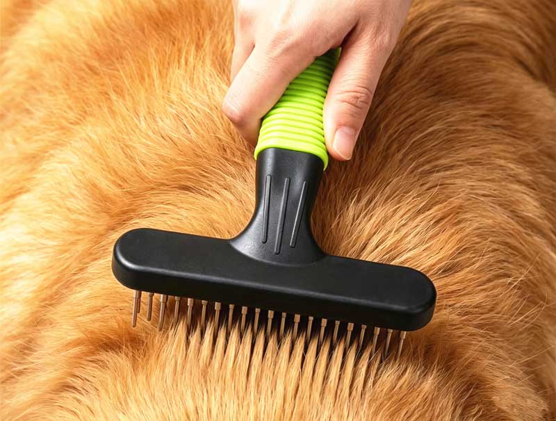 Professional-Undercoat-Rakes-for-Dogs-Manufacturer